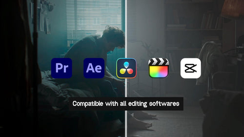 Cinematic LUTs Master Bundle — 100+ LUTs Pack | Instant Download