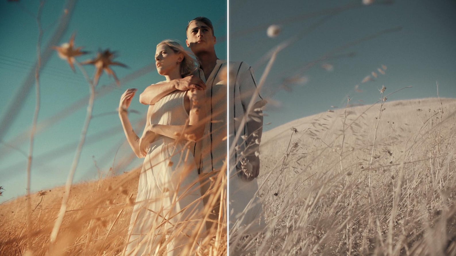 Cinematic LUTs Master Bundle — 250+ LUTs Pack | Instant Download