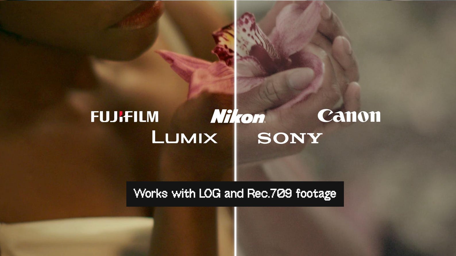 Cinematic LUTs Master Bundle — 100+ LUTs Pack | Instant Download