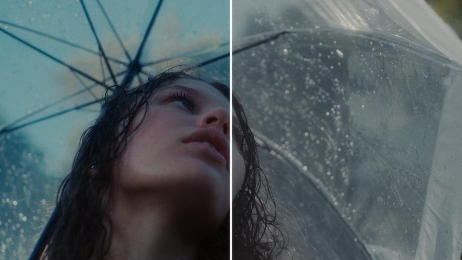 Cinematic LUTs Master Bundle — 250+ LUTs Pack | Instant Download